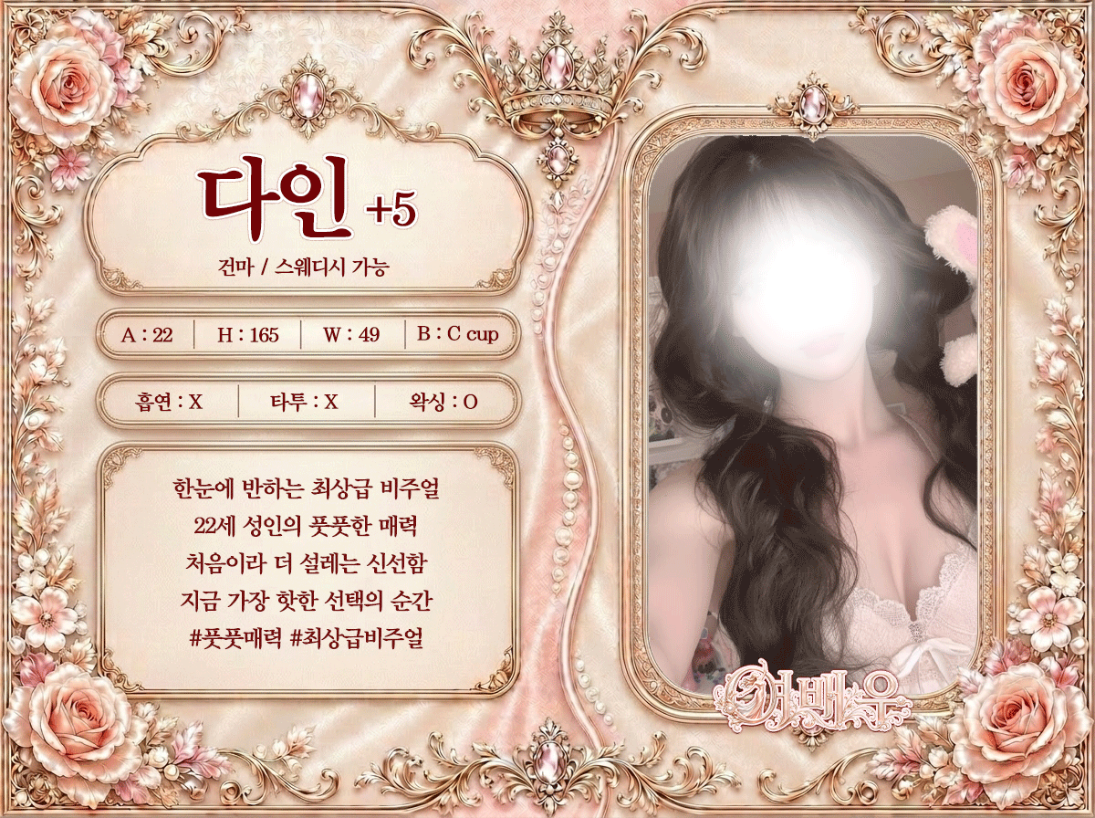 다인 프로필